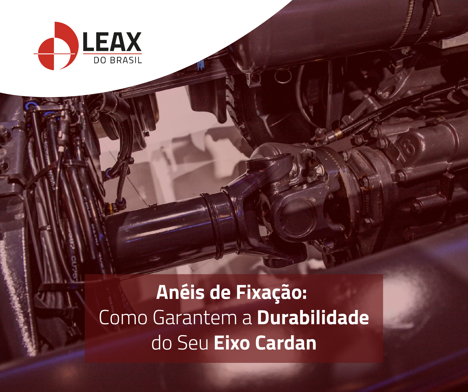 Anéis de fixação para eixos cardan